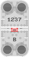 1237WEB