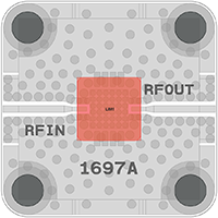1697WEB